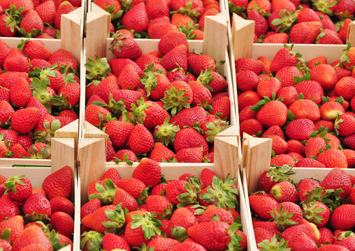 Erdbeeren