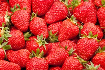 fresh strawberry