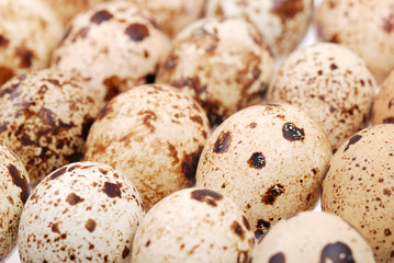 Photo of the quail egg