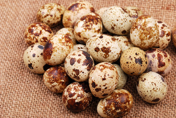 Obraz premium Photo of the quail egg