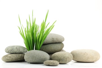 Fototapeta na wymiar Zen stone z świeżej trawy
