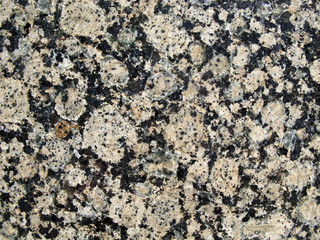 Marble wall in N YC buliding