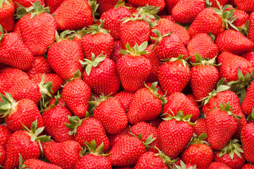 fresh strawberry