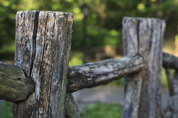 Old fence