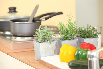 Plantes aromatiques et légumes