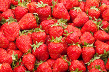 fresh strawberry