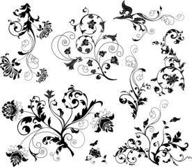 Set of design floral elements
