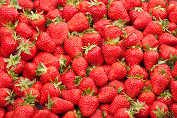 fresh strawberry