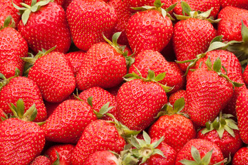 fresh strawberry