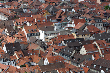 Dächer der Altstadt von Heidelberg