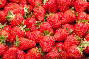 fresh strawberry