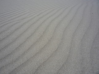 Fototapeta na wymiar Sand Beach Ripples