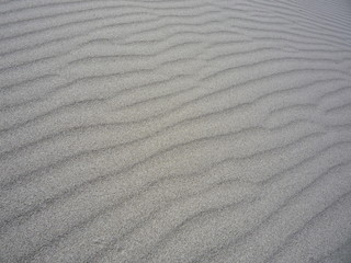 Sand Ripples