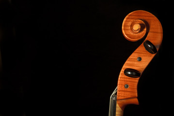 Kopf eines Violoncelli