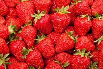 fresh strawberry
