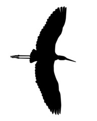 Black silhouette of a flying heron