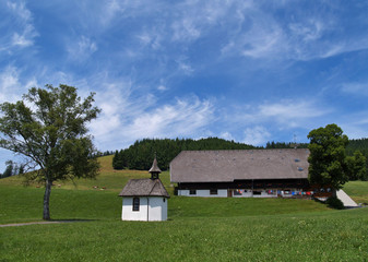 Fototapeta na wymiar Schwarzwaldidylle