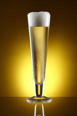 Tall glass of Beer