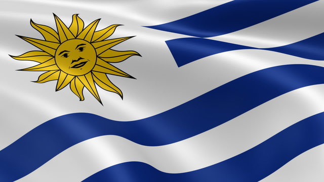 Uruguayan flag in the wind. Part of a series.