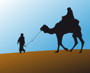 Camel Sahara
