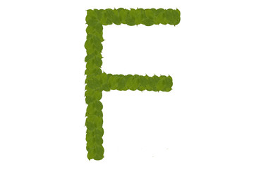 Obraz premium green leaves F