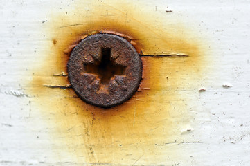 A rusty screw