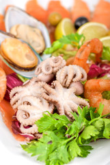 Seafood salad