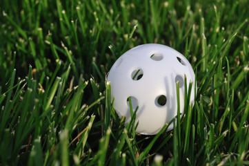 White Plastic Wiffle Golf Ball
