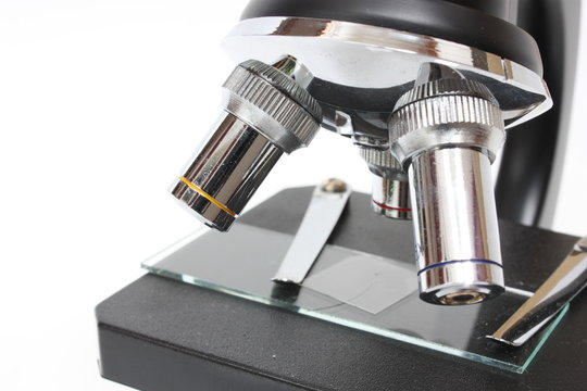 「プレパラート」の写真素材 13,874件の無料イラスト画像 Adobe Stock