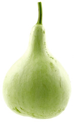 calebasse, courge exotique, fond blanc