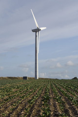 Ploughed field and wind turbine