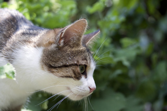 Der Blick