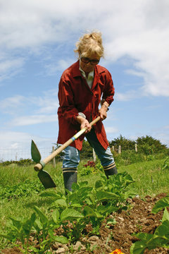 jardinage