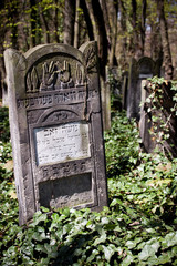 Old Jewish cemetery in Lodz