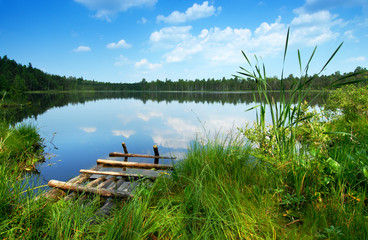 Obraz premium Lake in the forest