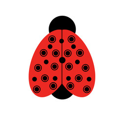 Obraz premium red fly