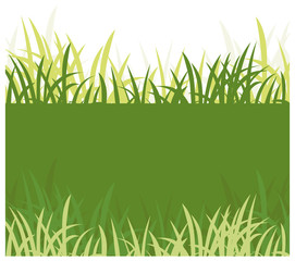 green grass