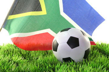 Fußball-WM 2010