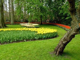 Obraz premium keukenhof