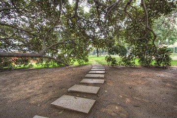 Path through the public park