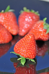 fraises cléry