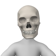 Fototapeta premium skull