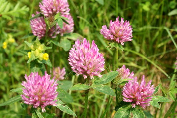 SONY DSC © Axel Gutjahr