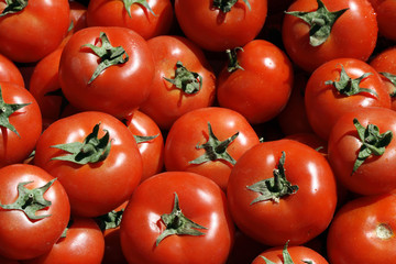 Fresh Tomatoes Background