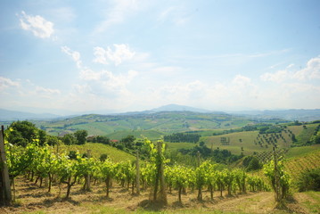 Naklejka premium paesaggio rustico