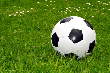 Fototapeta premium Fussball grüne Wiese WM