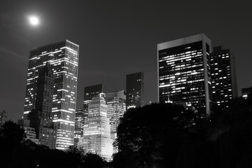 Manhattan Skyline and Central Park at Night
