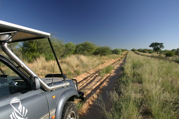 Piste Botswana