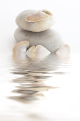 Galets et coquillages