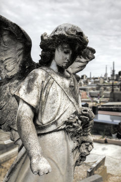 Statue of an angel at a Melbourne Cemetery